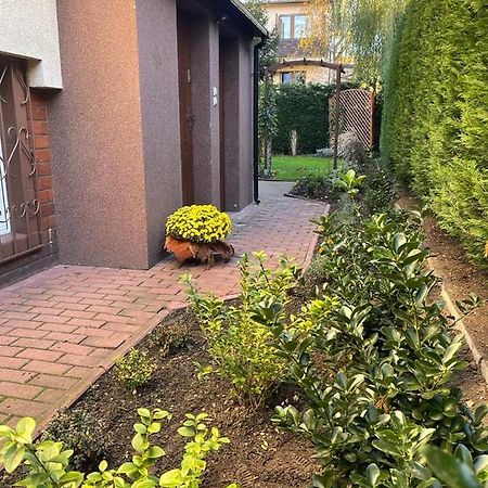Maly Apartament Z Kuchnia I Lazienka Daire Szczecin Dış mekan fotoğraf